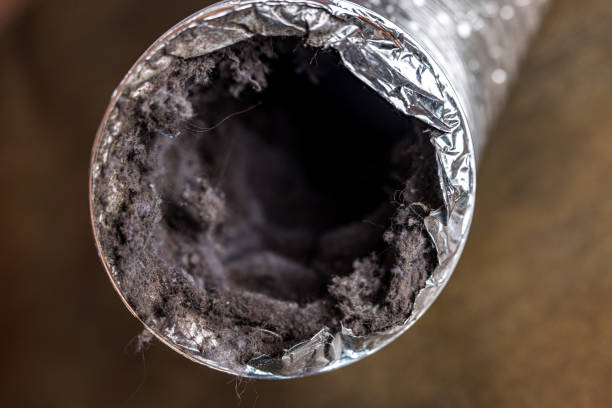 Best Air Duct Cleaning Company Near Me  in Barnwell, SC